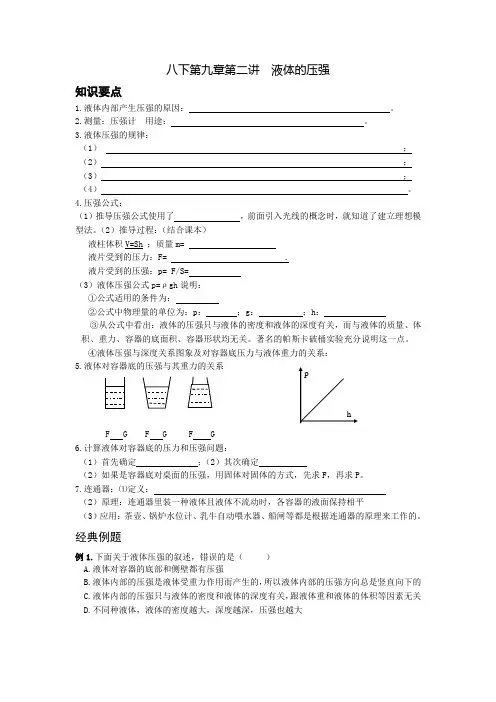 第九章 第二讲 液体的压强