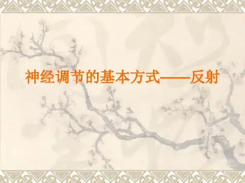七分钟讲课---神经调节的基本方式——反射