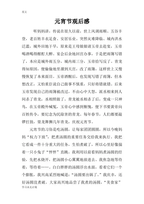 【范文】元宵节观后感
