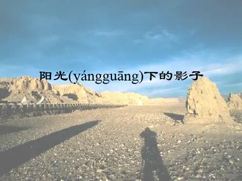 教科版科学五年级上册《阳光下的影子》课件1