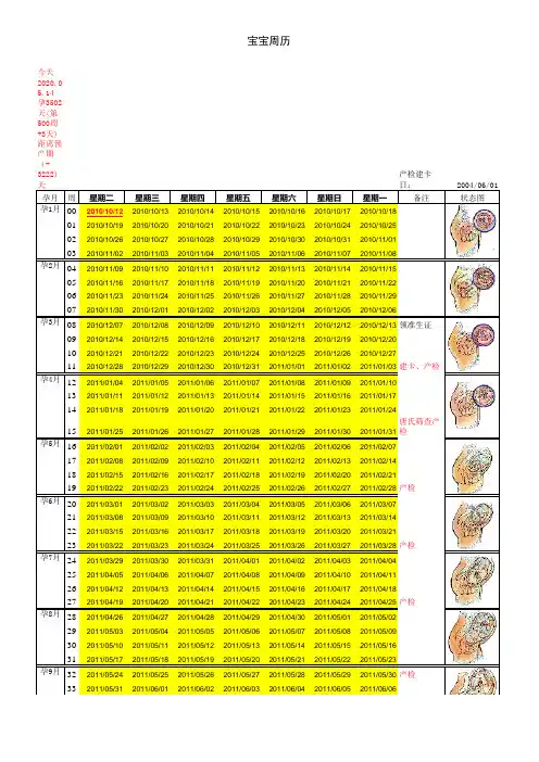怀孕周期表
