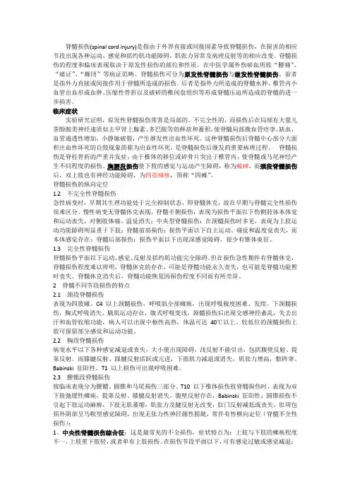 脊髓损伤 3