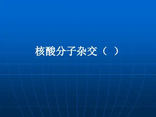 第五章核酸分子杂交技术