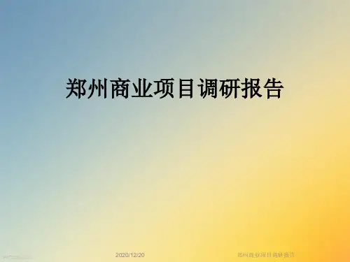 郑州商业项目调研报告