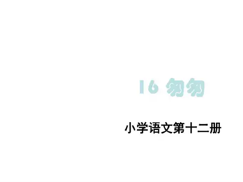 六年级语文匆匆2