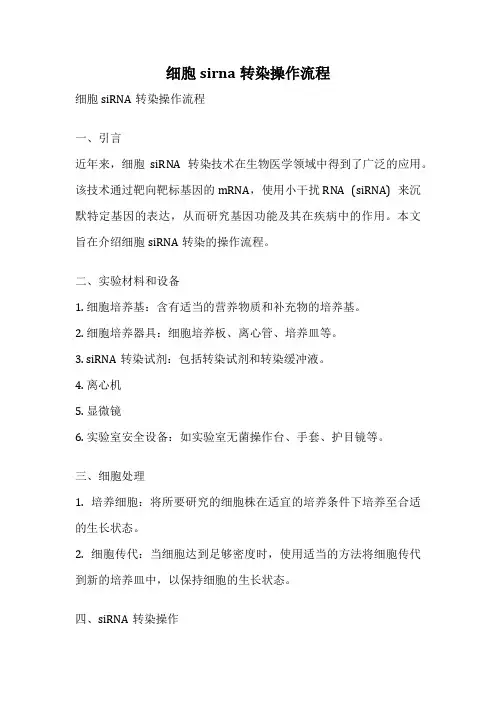 细胞sirna转染操作流程