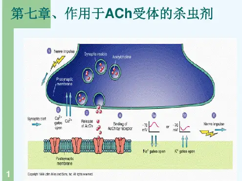 乙酰胆碱受体杀虫剂药理学