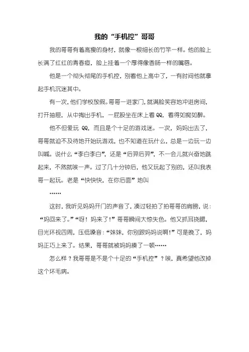 写人作文：我的手机控哥哥作文400字