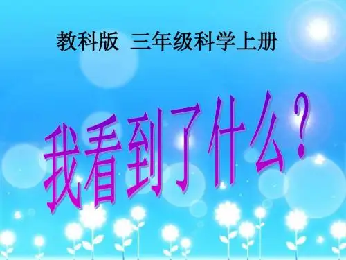 教科版科学三上《我看到了什么》PPT课件7