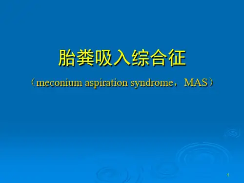 新生儿胎粪吸入综合征PPT课件