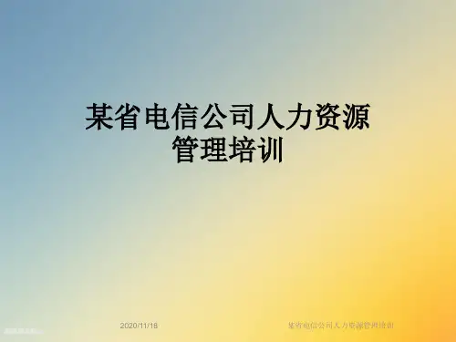某省电信公司人力资源管理培训