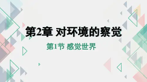 感觉世界(课件41张)--浙教版科学七年级下册