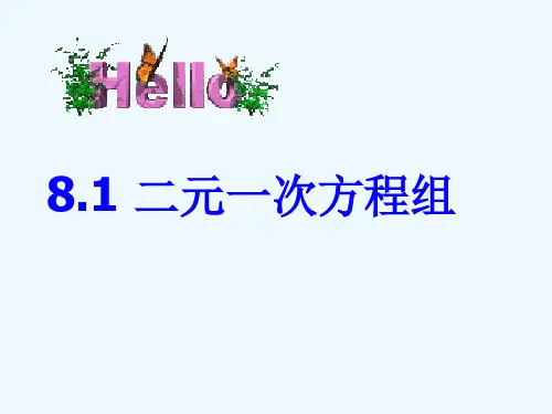 二元一次方程组课件人教版