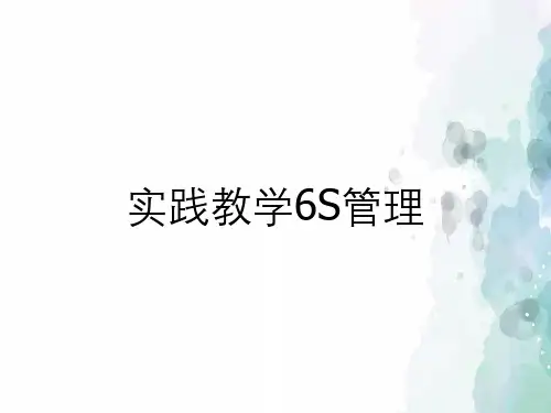 实践教学6S管理