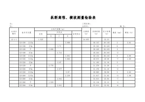 纵断高程横坡测量数据自动生成表