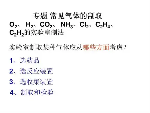 《常见气体的制备和检验》PPT课件3