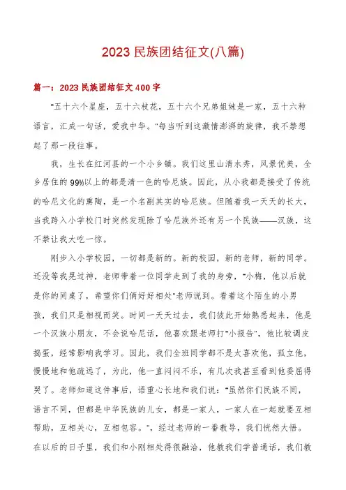 2023民族团结征文(八篇)