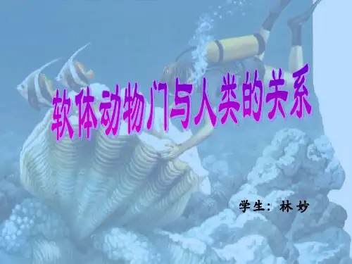软体动物们与人类的关系