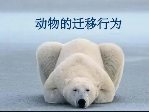 《动物的迁移行为》PPT课件