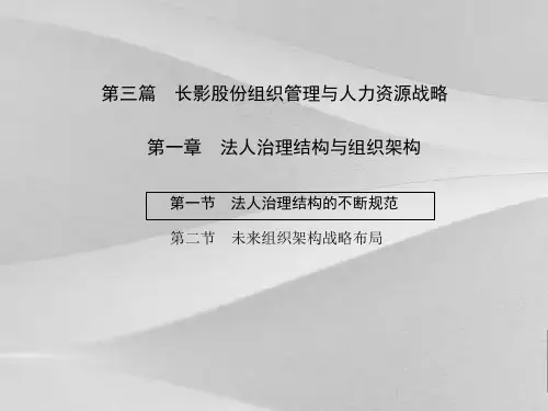 公司企业发展战略咨询研究报告