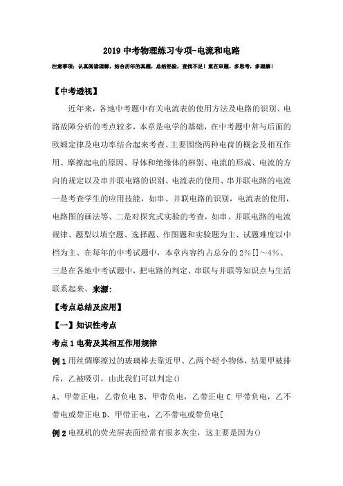 2019中考物理练习专项-电流和电路.doc