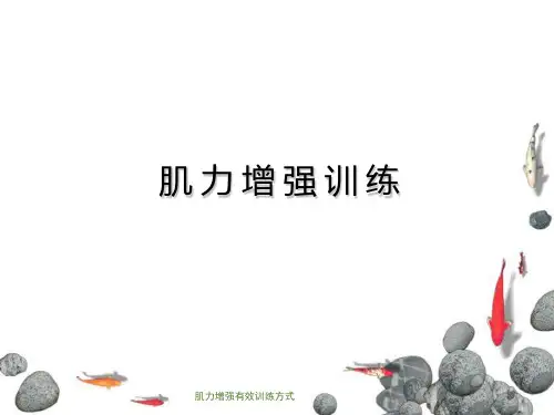 肌力增强有效训练方式