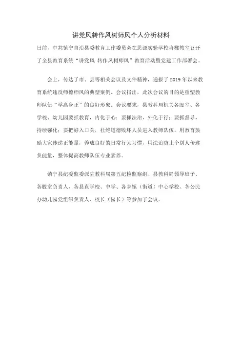 讲党风转作风树师风个人分析材料