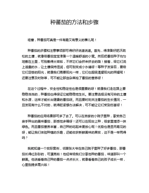 种蕃茄的方法和步骤