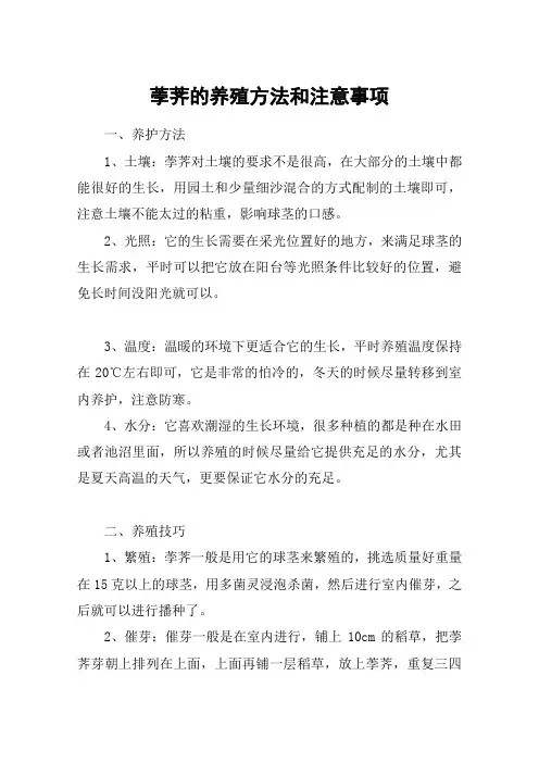 荸荠的养殖方法和注意事项