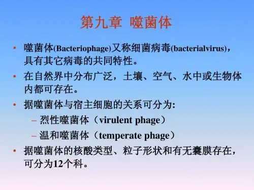 9噬菌体