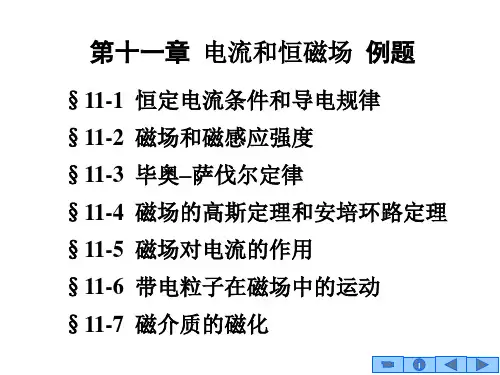第11章电流和磁场例题