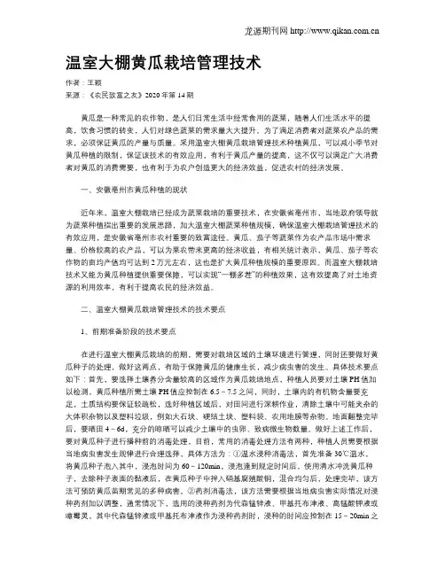温室大棚黄瓜栽培管理技术