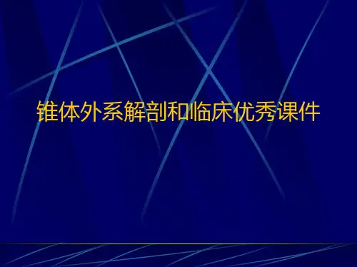 锥体外系解剖和临床优秀课件
