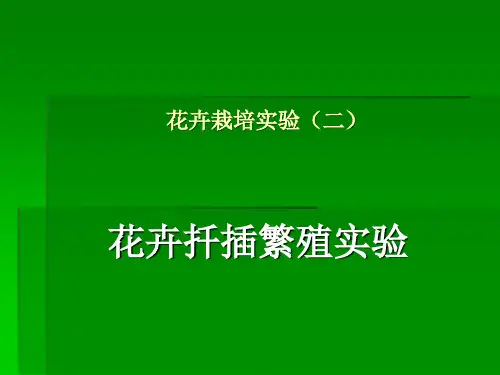 2花卉扦插繁殖实验