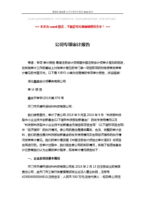 【最新2018】公司专项审计报告word版本 (6页)