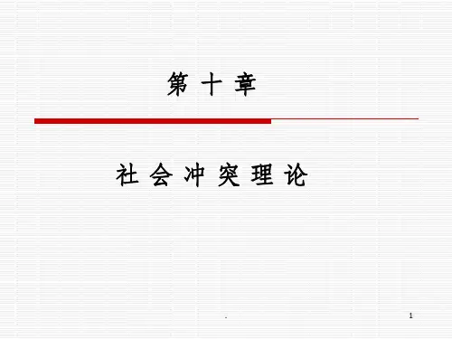 第十章 社会冲突理论ppt课件
