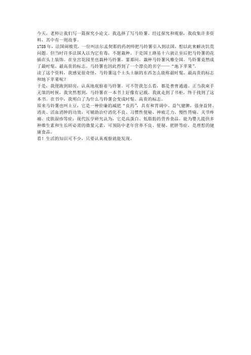 马铃薯
