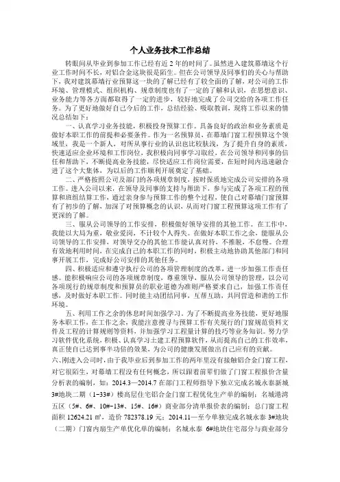 个人技术工作总结