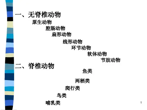 动物的分类全面版ppt课件