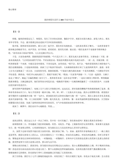 我的寒假生活作文800字高中范文 2