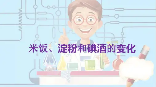 六年级下册科学课件 -2.3 米饭、淀粉和碘酒的变化|教科版 (共12张PPT)