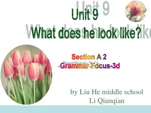 Section A 2