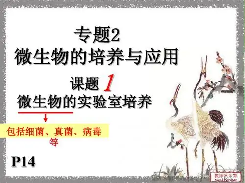 专题2_课题1_微生物的实验室培养