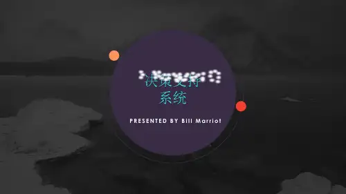 DSS决策支持系统
