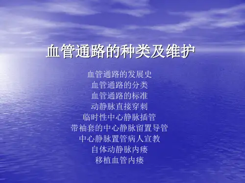 血管通路的种类及维护
