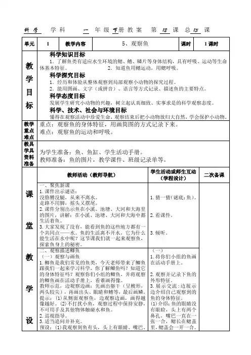 新教科版科学一年级下册-2.5观察鱼