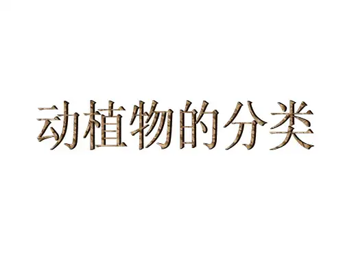 动植物的分类