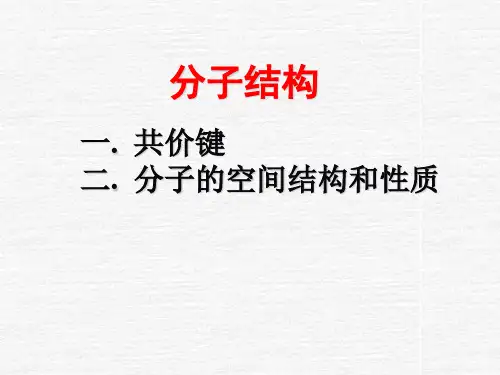 分子结构