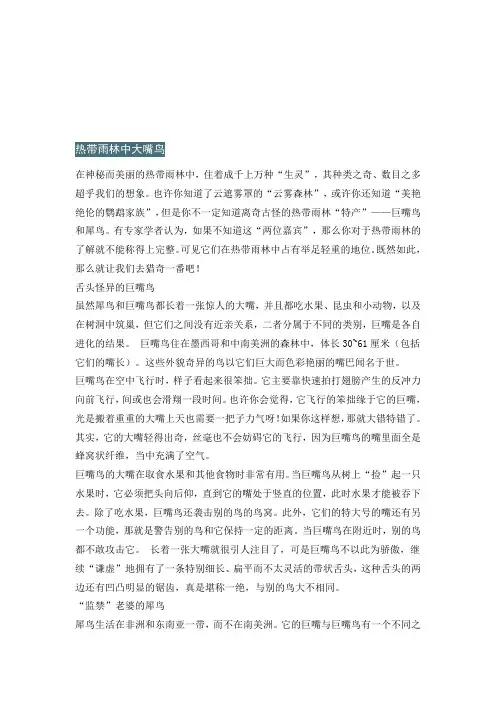 大嘴鸟