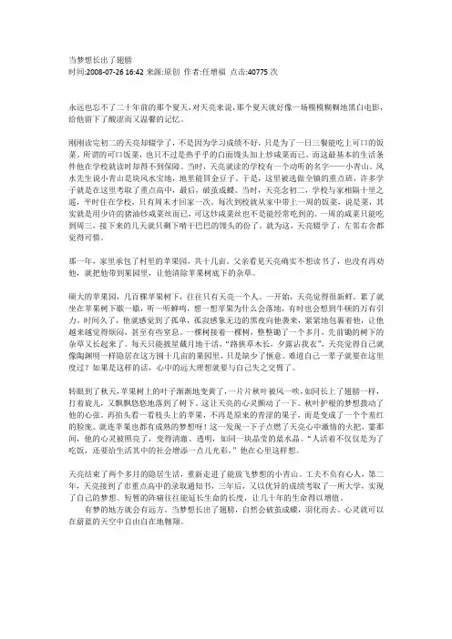 当梦想长出了翅膀